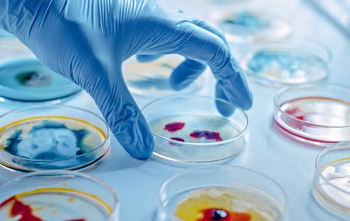 Un antibiótico “inteligente” puede matar bacterias mortales sin afectar al microbioma