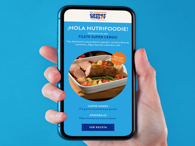 NutriFoodies: la nueva alianza entre nutricionistas e industria alimentaria para frenar la obesidad en Chile