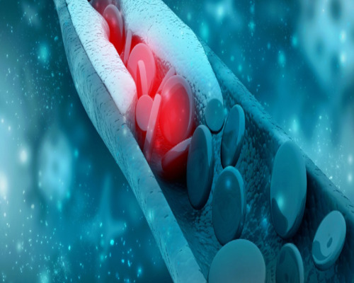 Interacción entre estrés oxidativo y genética: clave para entender la regulación del IMC