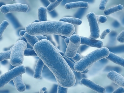 Microbiota y cirugía bariátrica: el papel de Coprococcus, magnesio y tiamina en la pérdida de peso