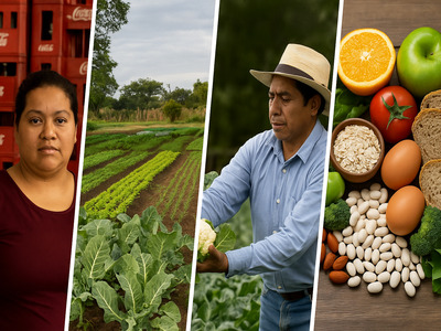 Sistema Alimentario Nutricional, Justo y Sustentable en México